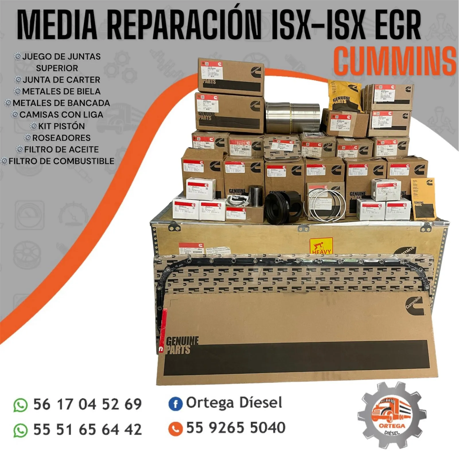 Cabeza importada y media reparación MAHLE para M11