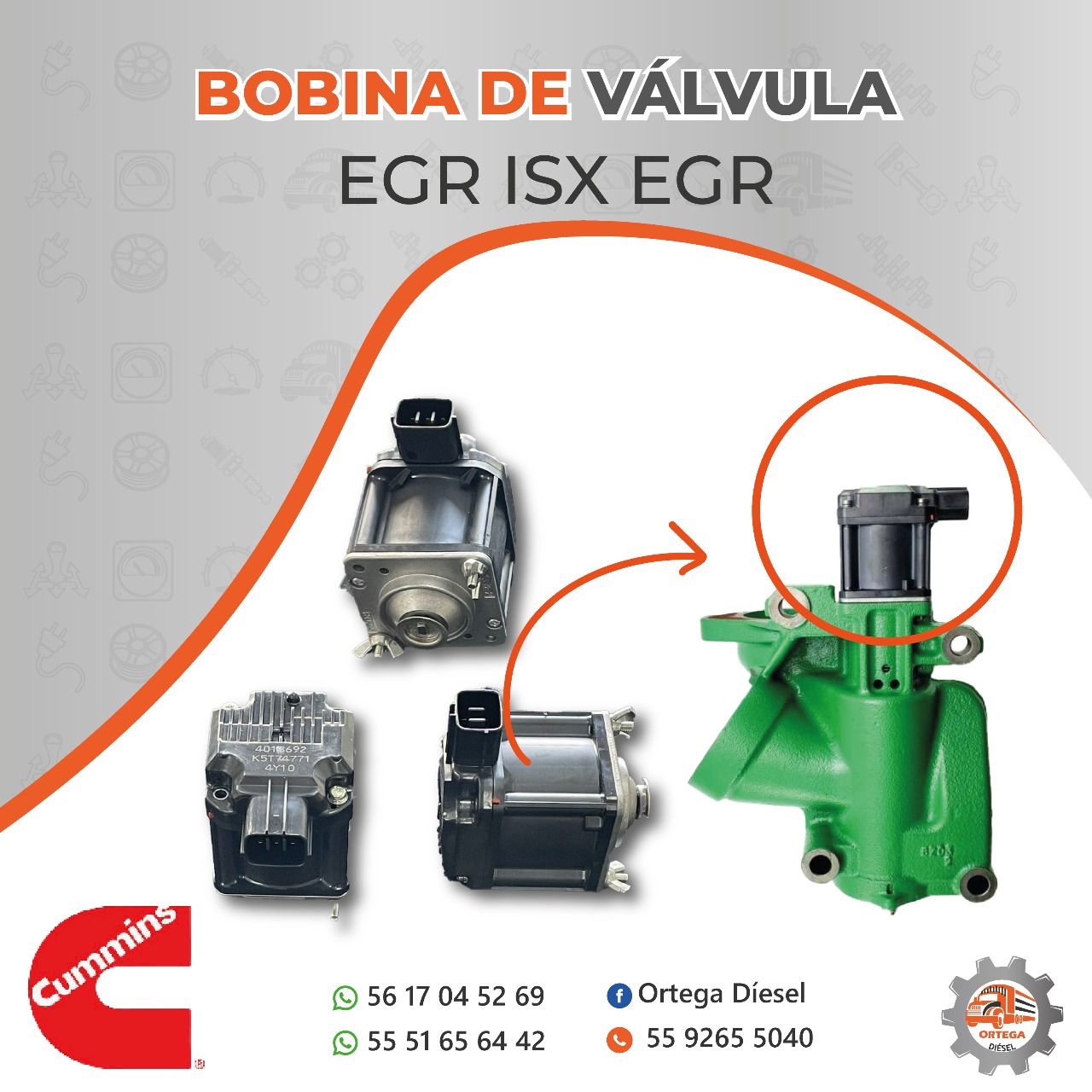 BOBINA DE VÁLVULA EGR PARA ISX EGR ORIGINAL CUMMINS